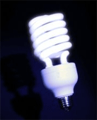 fluorescentlightbulb.gif